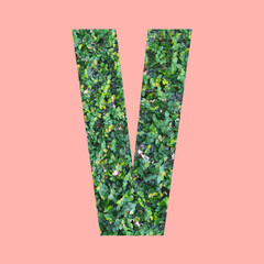 Alphabet letters of shape V in green leaf style on pastel pink background.