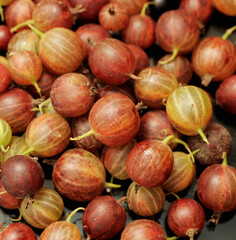 Gooseberry on white background.
