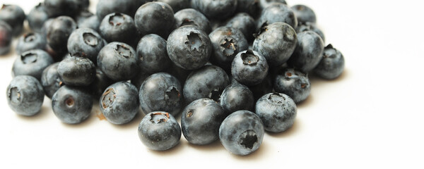 blueberries on a white background