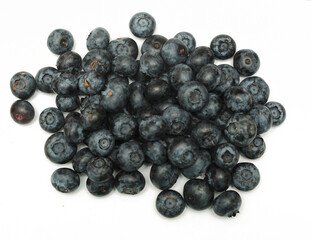 blueberries on a white background