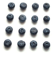 blueberries on a white background