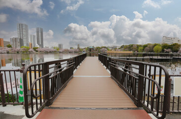 Fototapeta premium Wooden bridge in Ueno park view.