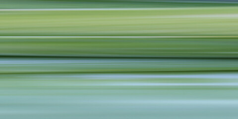 Green pattern background of abstract graphic lines.