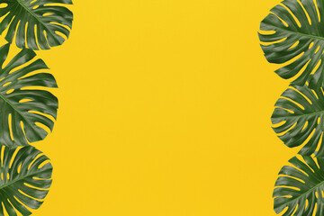 Fototapeta na wymiar Green monstera leaves on yellow art paper background.
