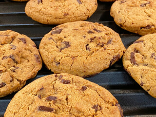 Freshly baked cookies on a tray