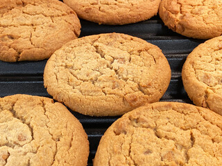 Freshly baked cookies on a tray