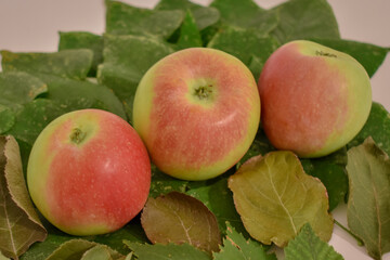 apples on the grass
