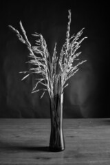 still life with tree