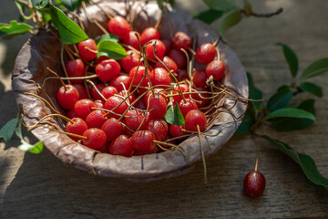 Ripe Gumi Berries Elaeagnus Umbellata on wooden board. Elaeagnus multiflora, Japanese silverberry, cherry silverberry, goumi, natsugumi, semi-evergreen autumn-olive shrub Shallow focus.