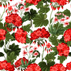 Seamless pattern with geraniums and wild flowers. Trendy floral vector print. - obrazy, fototapety, plakaty