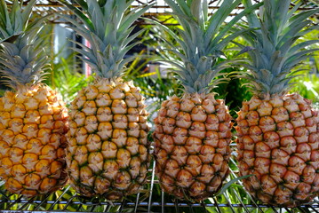 Pineapples