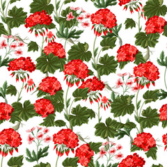 Seamless pattern with geraniums and wild flowers. Trendy floral vector print.