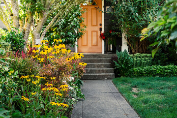 Fototapeta na wymiar Black-Eye Susan Sunflower Blooms Along Walkway in Garden