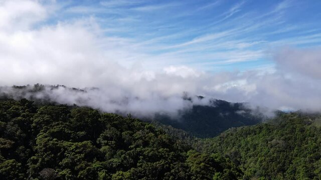 Aerial view of los quetzales national park Costa Rica clouds over tropical forest high altitutde