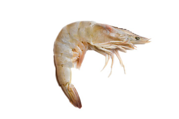 Raw fresh shrimp or prawn isolated on a white background