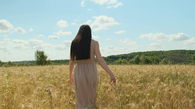 attractive young woman in gray dress walks along yellow field against blue sky with clouds. beautiful beauty lady spin and folds her arms over herself, fashion video, happy person in nature.