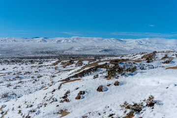 Snow in the Joshua Tree Desert, California