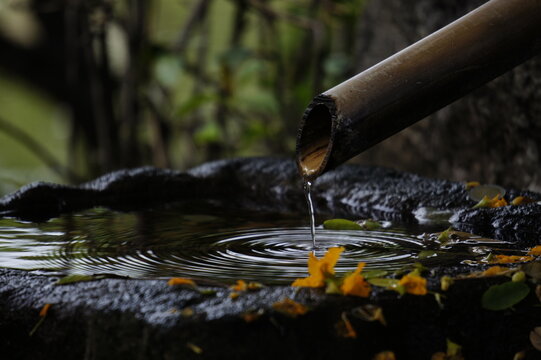 Japanese garden drop water zen SHISHI ODOSHI