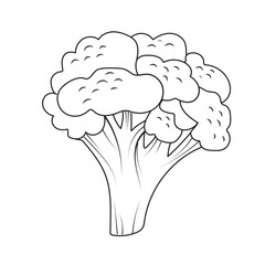 Broccoli 