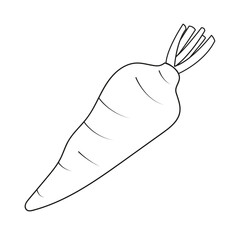 Carrot