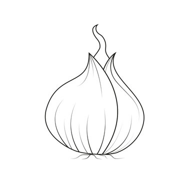 Onion