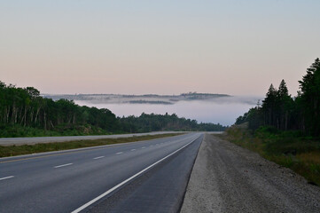 Morning road in fog. Forest with road in fog