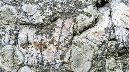 stone wall