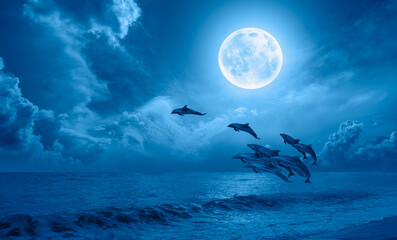 Fototapeta premium A flock of dolphins jumping above the clouds with full blue moon 