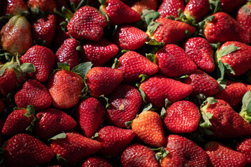 strawberries at the market