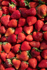 strawberries in a market