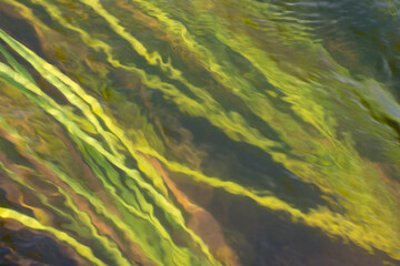 Natural soft background from running water and algae. The surface of the river. Specially defocused photo.