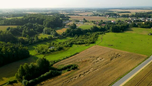 Vehicle On Scenic Rural Road in Vast Agricultural Wheat Fields Near Czeczewo, Poland. - Aerial Wide Shot