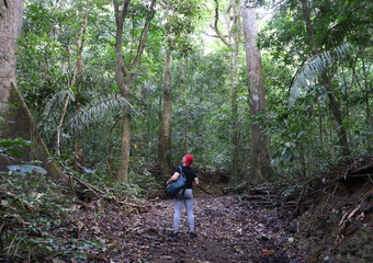 Fototapeta premium Selva