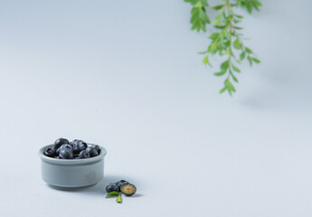 sweet fresh blueberries in a bowl with a green branch on a blue background. Front view and copy space