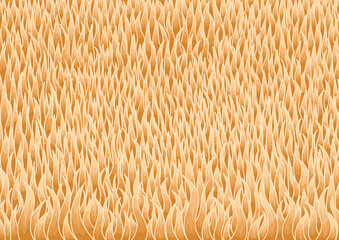 Abstract yellow meadow illustration background for decoration on natural and agriculture concept.