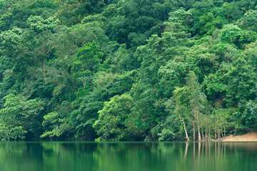 Obraz premium Idyllic landscape of country park Shing Mun reservoir in Hong Kong