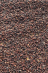 Coffee beans drying in the sun              
