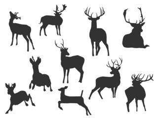 Set vector of the Deer, The shadow of different poses isolated on white background.