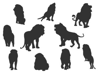 Set vector of the Lion, The shadow of different poses isolated on white background.