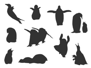 Set vector of the Penguin, The shadow of different poses isolated on white background.