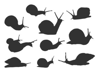 Set vector of the Snail, The shadow of different poses isolated on white background.