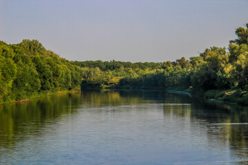 Summer landscape of a green forest pond or river. Forest pond in summer. Summer green forest water...