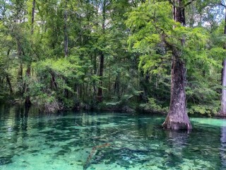 DeLeon Springs State Park in Florida