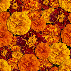 Orange marigold seamless pattern. Day of the dead illustration.