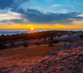 mountain plateau with pine forest at the sunset