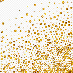 Golden Glow Bridal Vector Transparent Background.