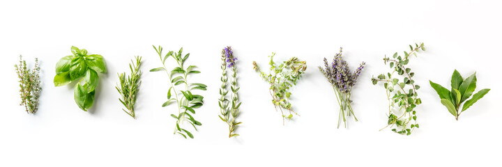 Herbes de Provence with lavender, traditional French aromatic herbs panorama, shot from the top on a white background - obrazy, fototapety, plakaty