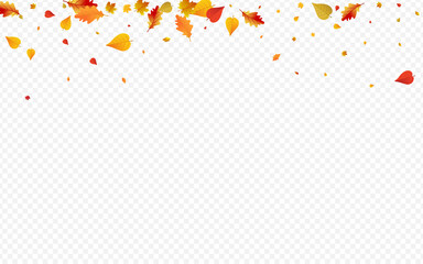 Brown Leaves Vector Transparent Background. Down