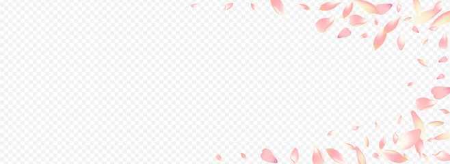 Color Flower Vector Panoramic Transparent