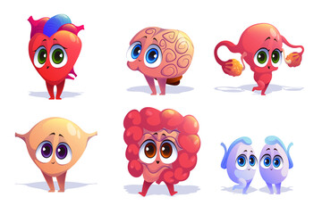 Human body organs cartoon characters isolated set